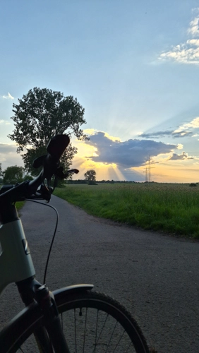 Ein Fahrrad steht auf einem kleinen Asphaltweg zwischen grünen Wiesen, im Hintergrund eine Baumgruppe und ein Sonnenuntergang mit sichtbaren Lichtstrahlen.